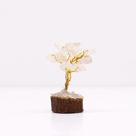 Arbre de Fortune 財富樹 15 pierres CRiSTAL sur socle en bois (h6cm)